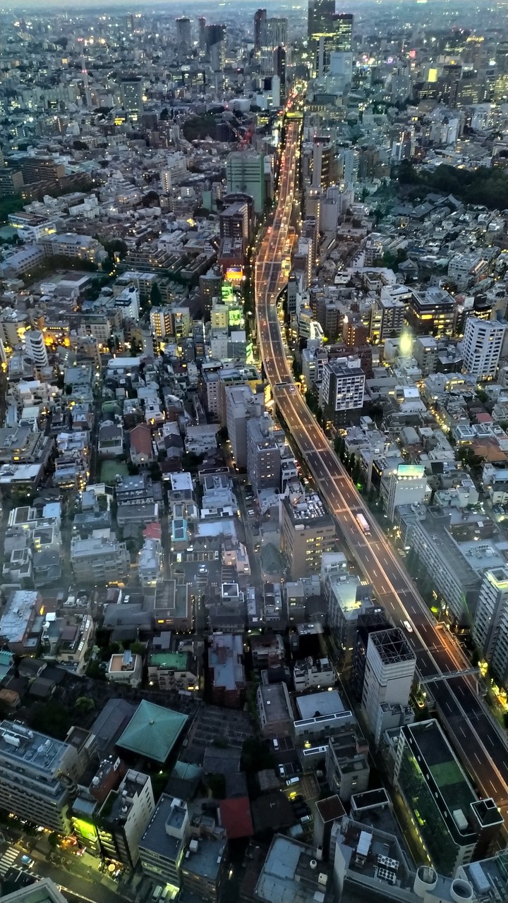 Tokyo skyscraper view