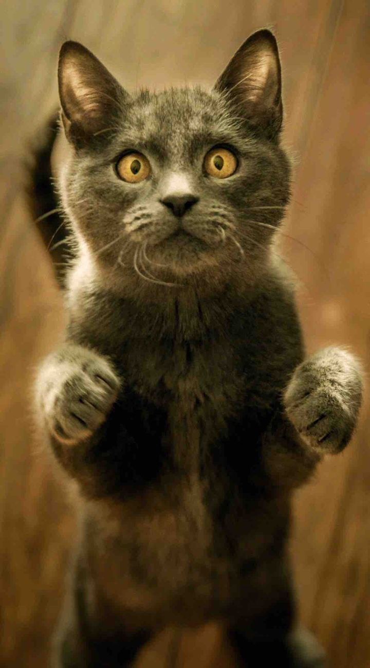cute