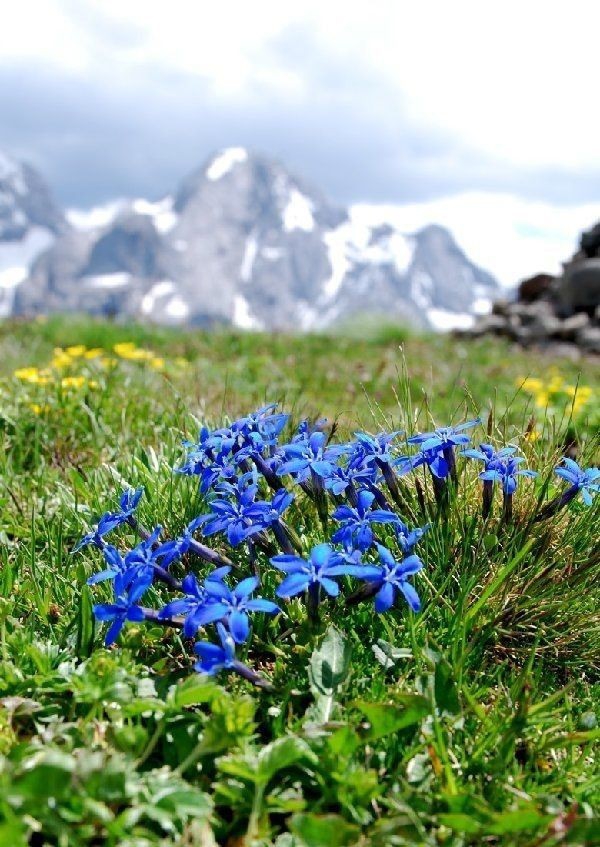 Nature