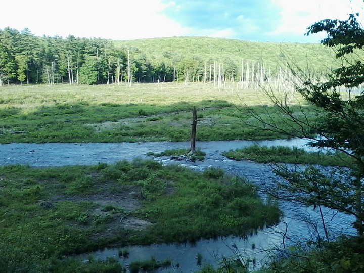 protected land