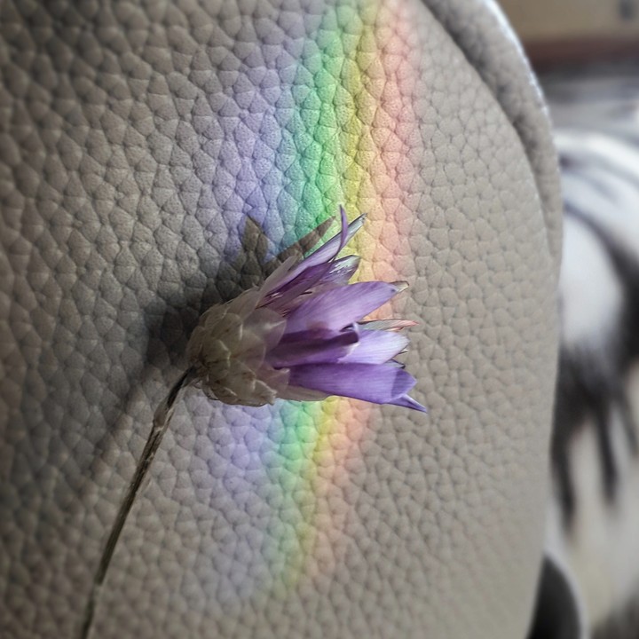 rainbow.