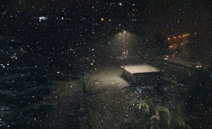 neve