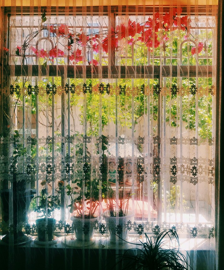 Colorful Window