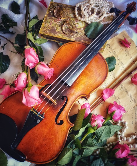 hình nền flower, fiddle