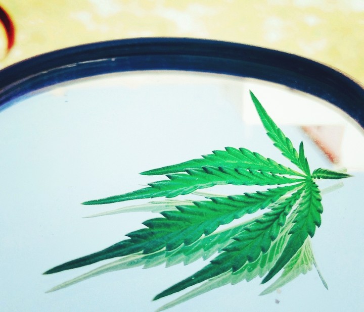 weed