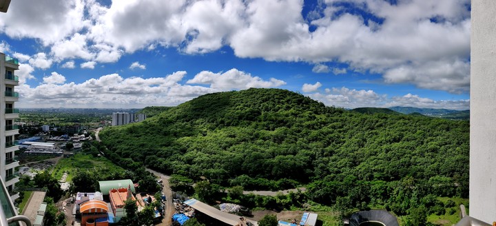 View
