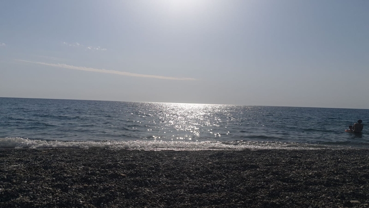 mare