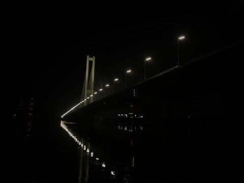 южный мост Киев