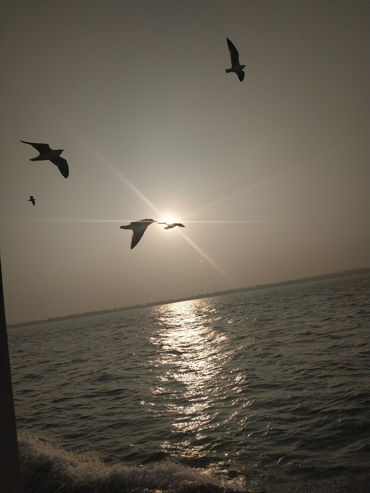 sea