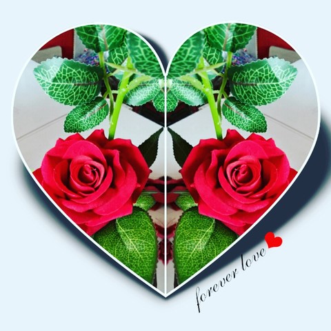 Rose Heart