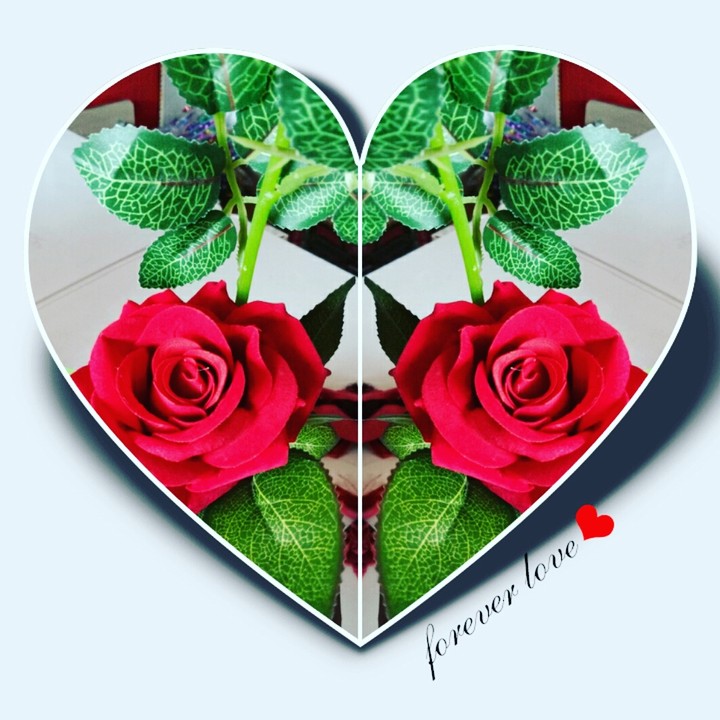 Rose Heart