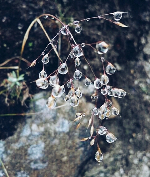 #Random