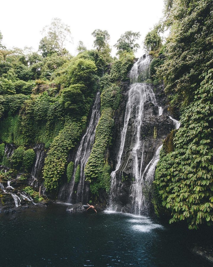 Nature Photography