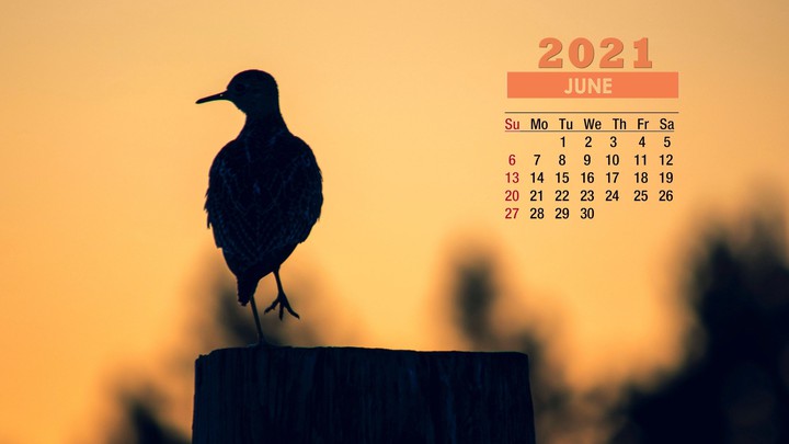 june 2021