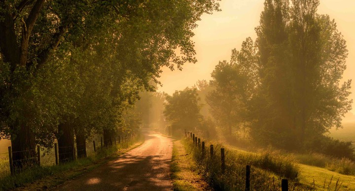 Le brouillard