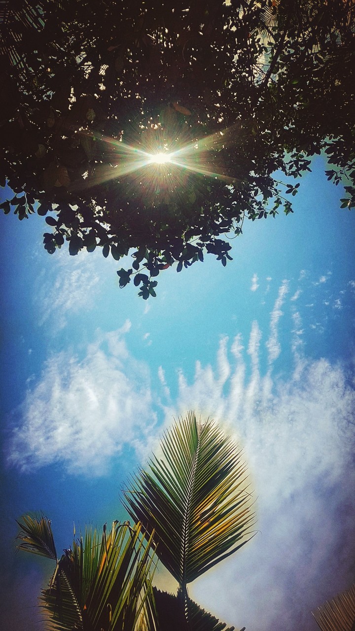 Blue_Sky