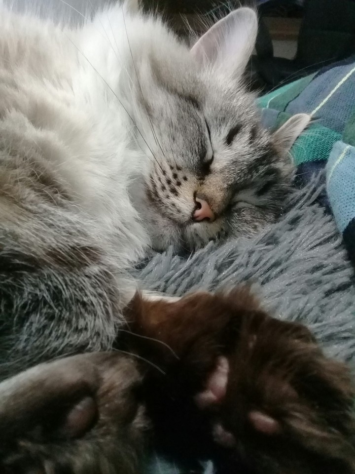 nap time