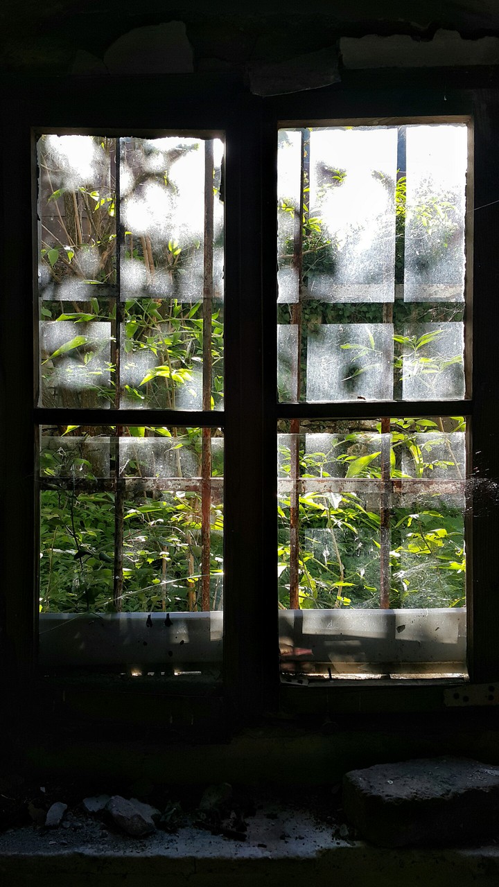 Old window