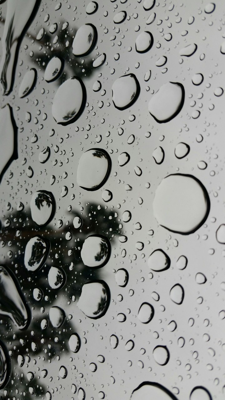 Rainy Days