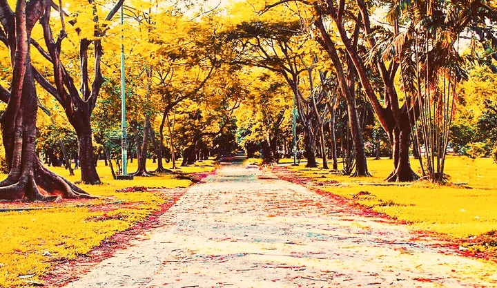 #Road of Love
