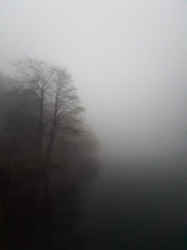 Alone and calm