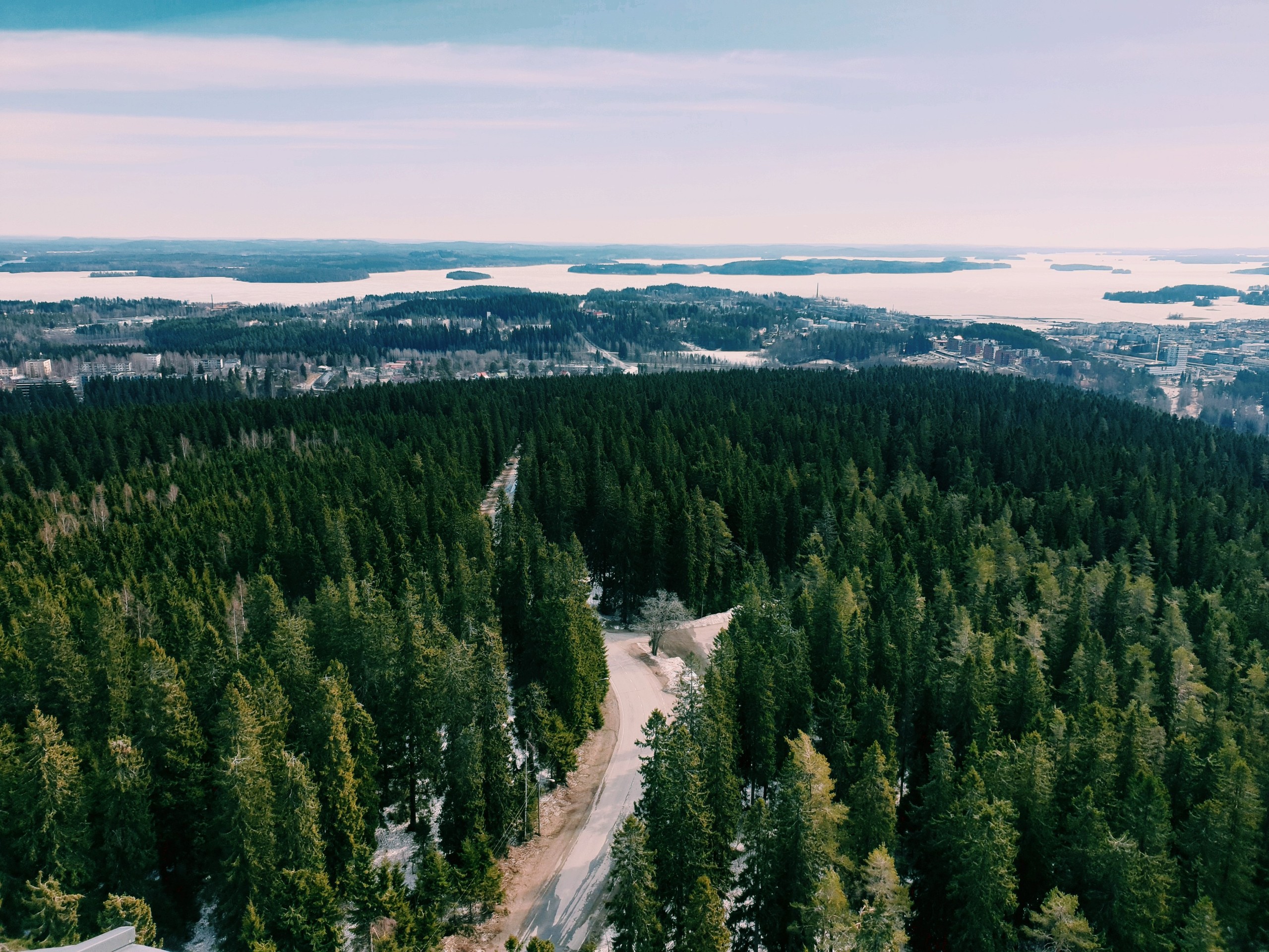 Forest