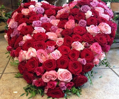 rose