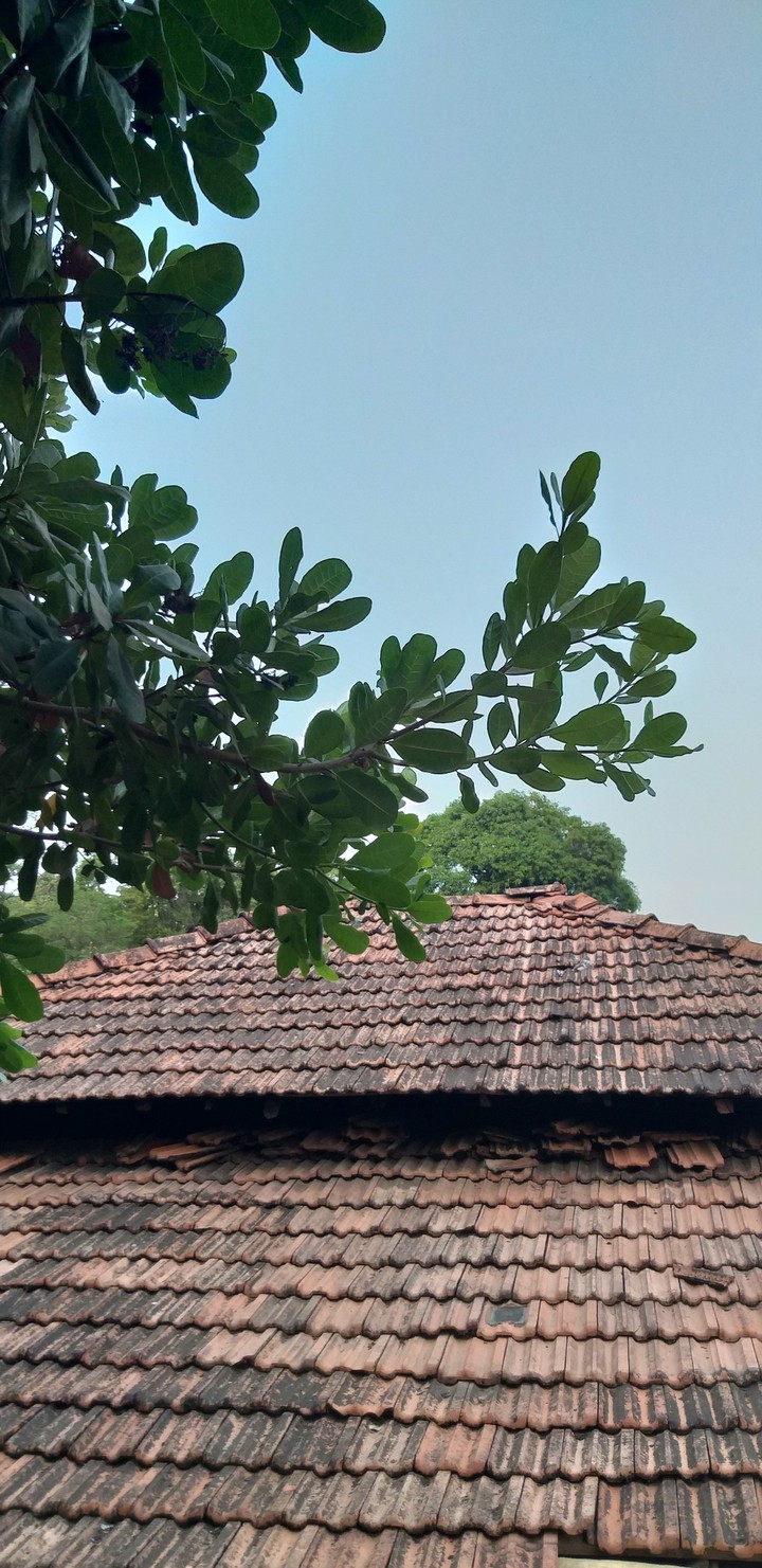 village
