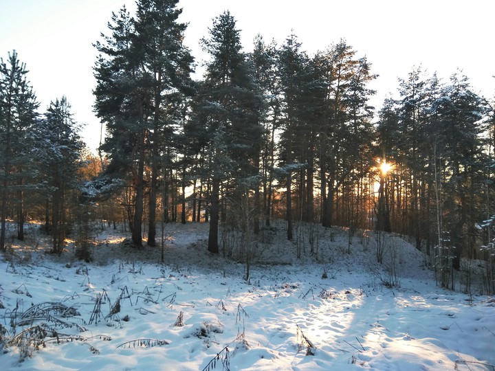 Winter in the country