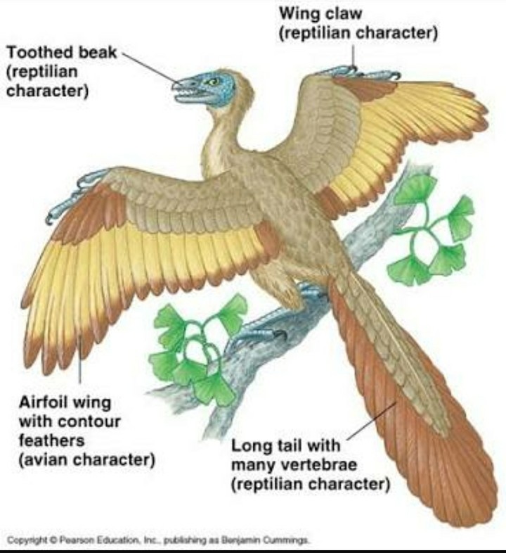 sharing a part of my information related to my studies