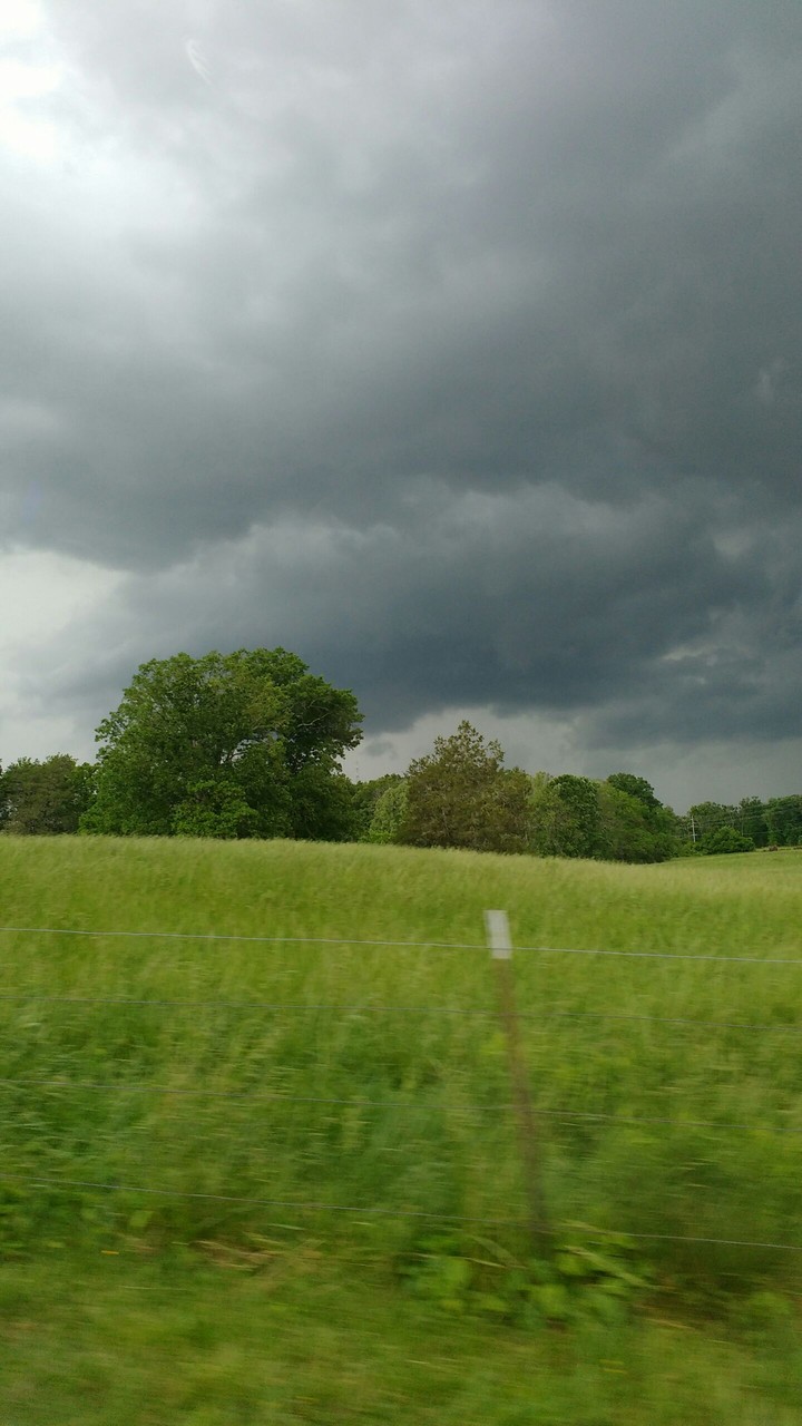 Stormy Day.