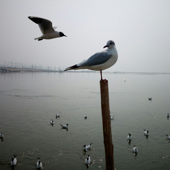 Sangam , Allahabad