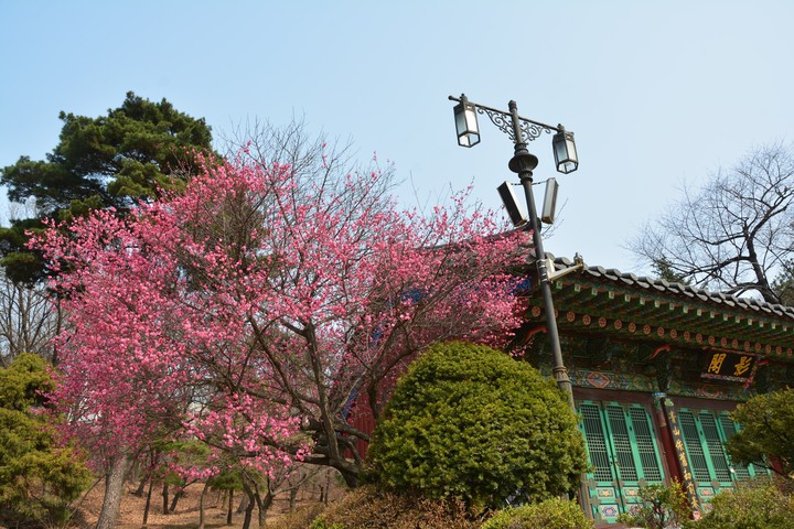 풍경이미지