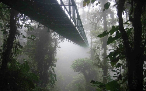 bridge