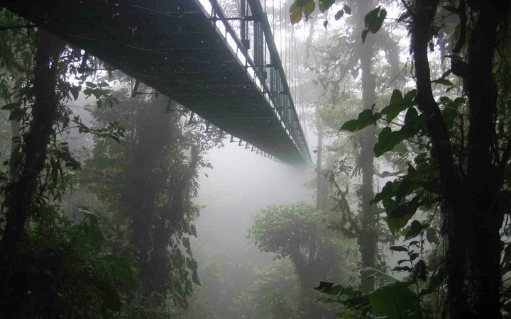 bridge