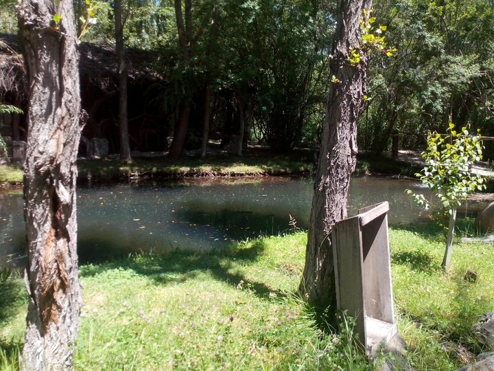nature