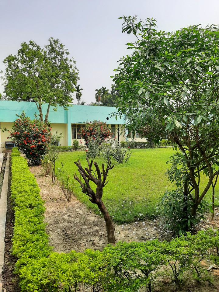 greenery