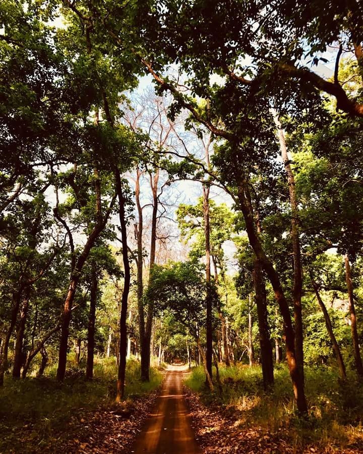 nature