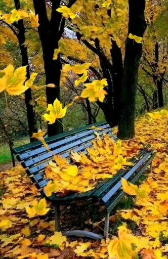autumn