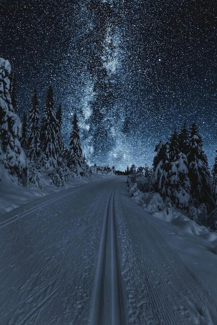 Night