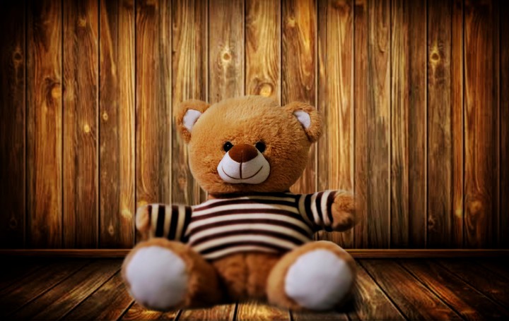 Teddy Bear??