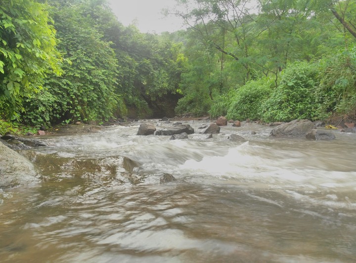 Water stream