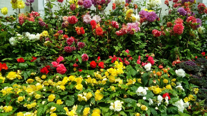 Colours of soul