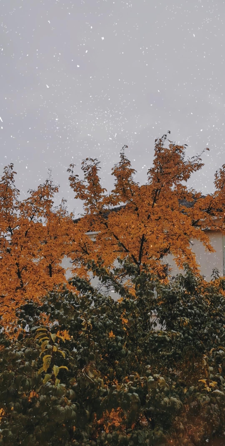 Autumn ??