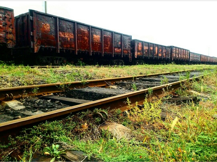 Train