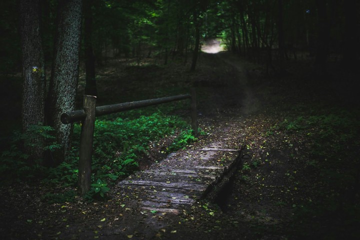 path..