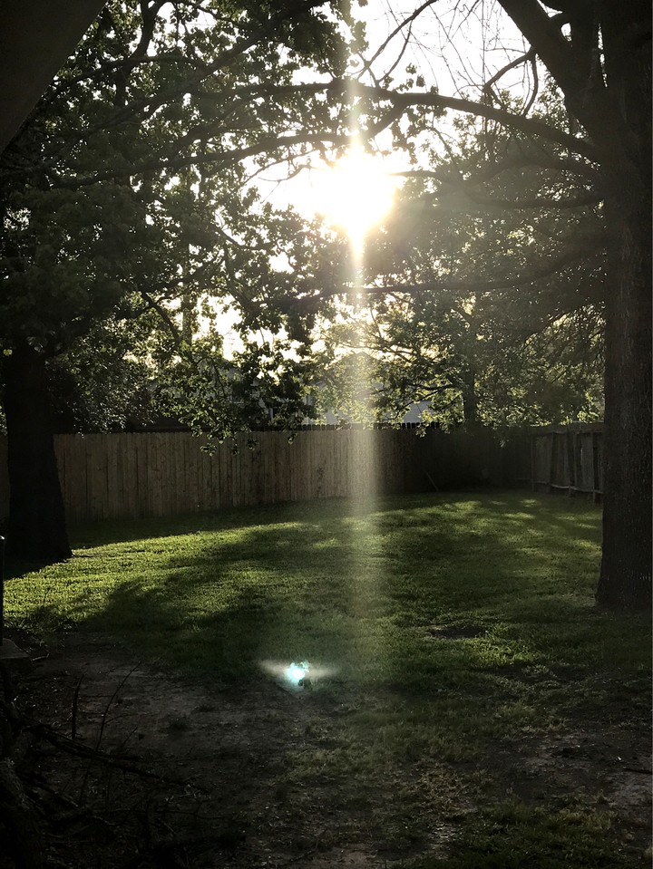 sunshine