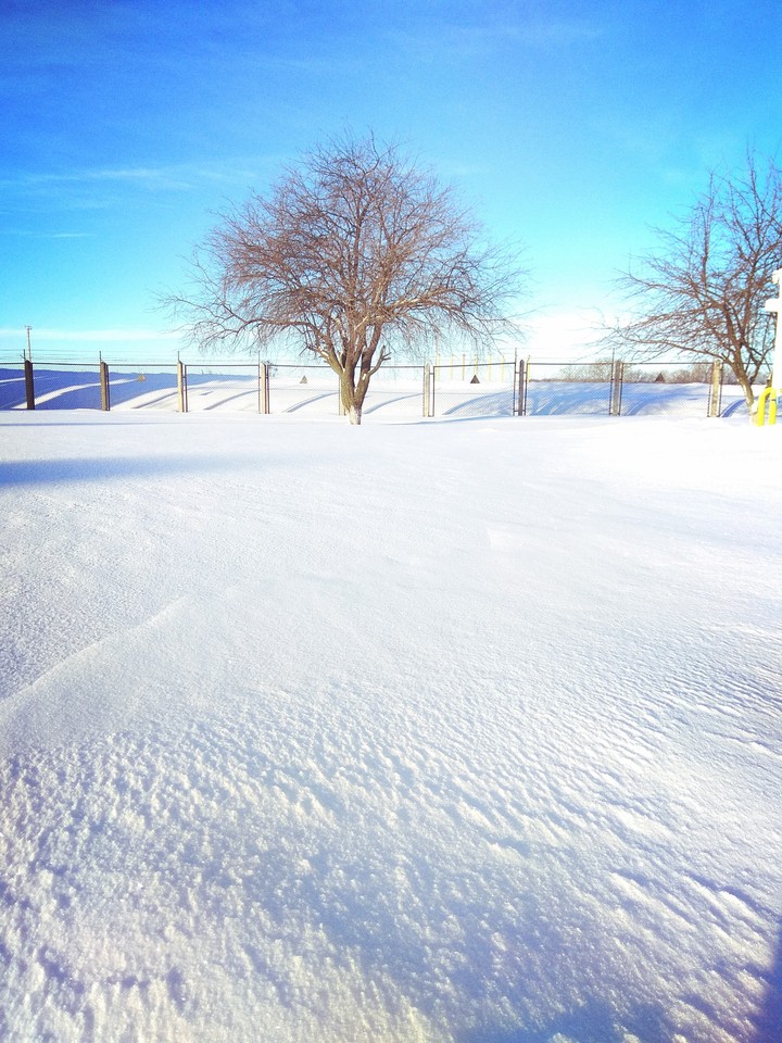 Winter