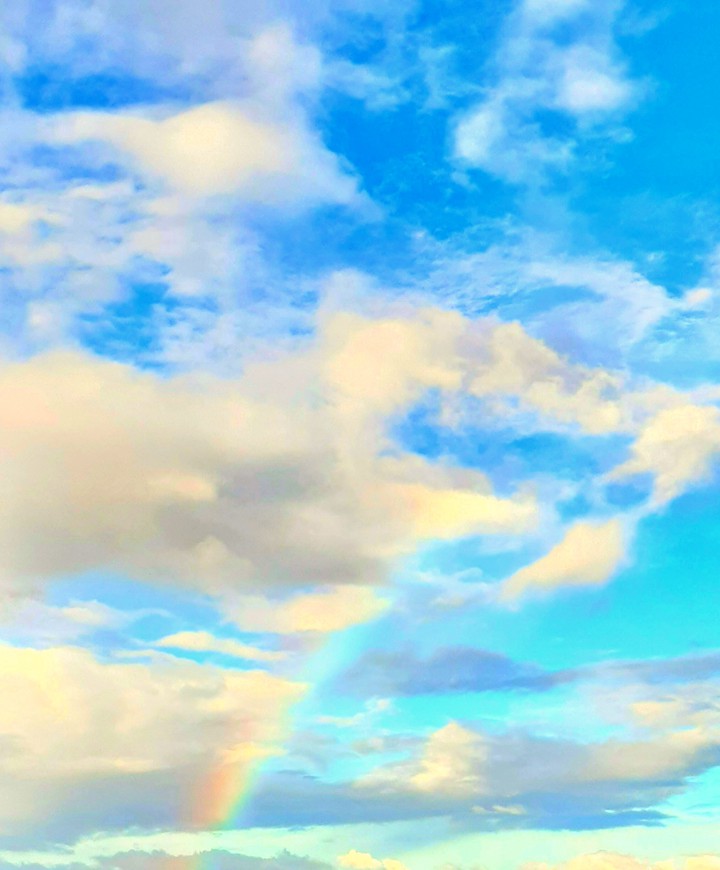 Rainbow