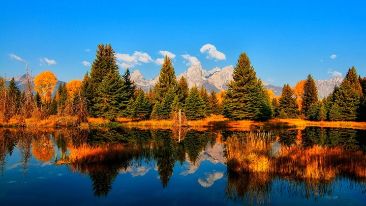 Autumn Lake